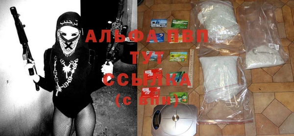 соль ск Туринск