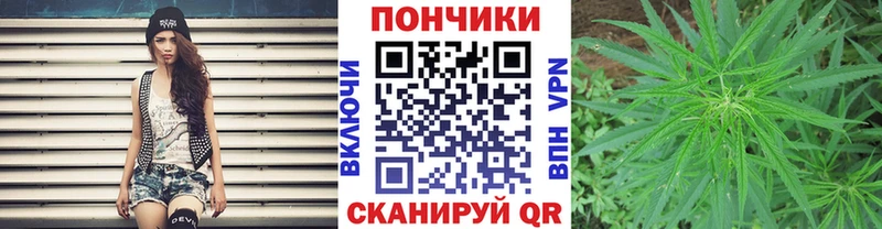 Бошки Шишки сатива  Купить где  Оленегорск 